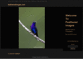 featheredimages.com