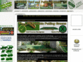 artificialturfandputtinggreen.com
