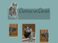 chartreux-von-chersloh.com