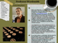 professorwordsmith.com