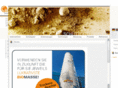 geroldinger.com