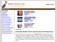 boston-terrier-i.com
