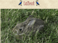 lazeut.com