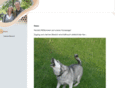 benz-mail.com