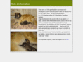 liondoccitanie.com