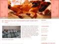 boxerblogz.com