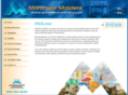 montrosemolders.com