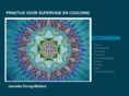 supervisiecoaching.com