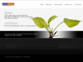 frankwilkinsdesign.com