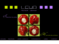 leya-traiteur.com