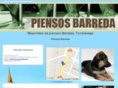 piensosbarreda.com