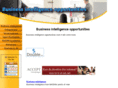 business-intelligence-opportunities.com