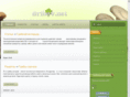 gribov.net