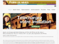 foiredenimes.com