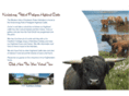 highland-coos.com