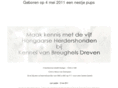 breughelsdreven.nl