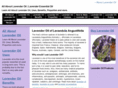 all-lavender-oil.info