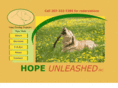 hopeunleashed.com
