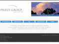 pileus-group.com