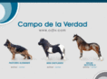 cdlv.com