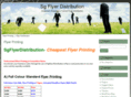 sgflyerdistribution.com