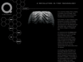 qtires.com