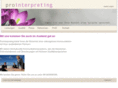 pro-interpreting.com