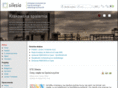 ste-silesia.org