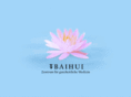 baihui.de