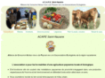 acape-stnazaire.fr