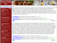 belgiumwafflemix.com