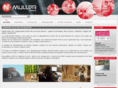 muller-industrie.com