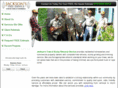 jacksonstreeandstump.com