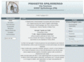 progettospilimbergo.it