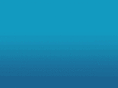 trilix.ru