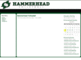 hammerheadvolleyball.com