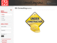 sg-consulting.net