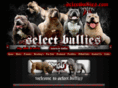 selectbullies.com