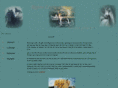 tableaux-chevaux.com