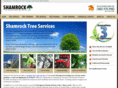 shamrocktree.com