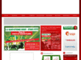 saintetiennerugby.com