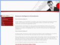 business-intelligence-projekte.com