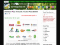 borneopulsa.net