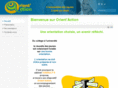 orientaction.info