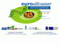 eurosilvasur.com