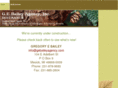 gebaileyagency.com