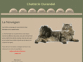 chaton-race.com