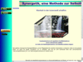 synergetiktherapeut.com