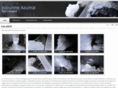 andesminera.com