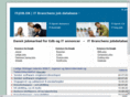 it-job.dk